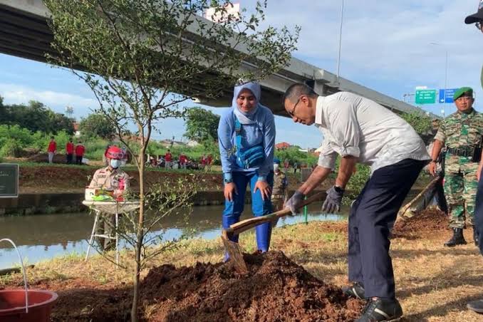 Sebelum Menanam Pohon, Jangan Hanya Melihat Bentuknya