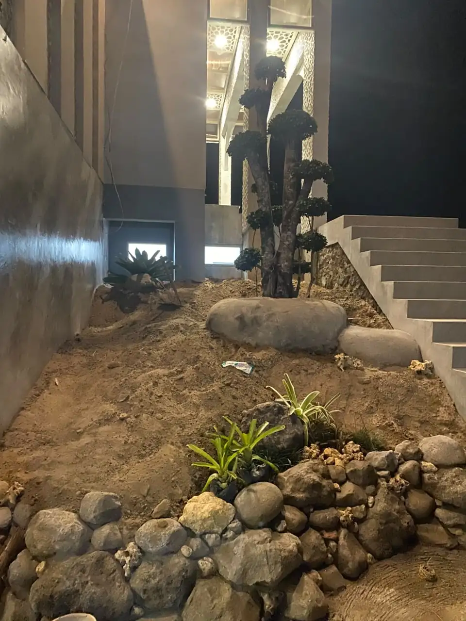 Pohon-pohon yang cocok untuk halaman masjid
