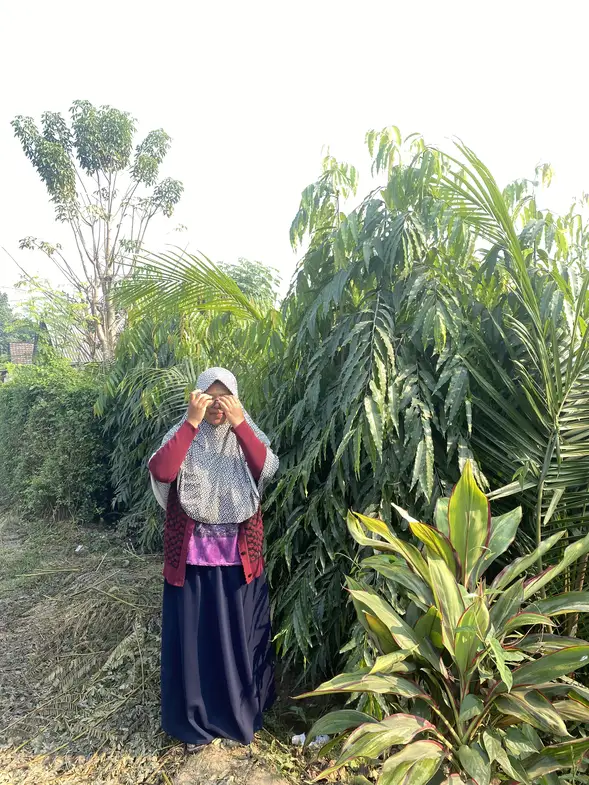 Koleksi tanaman pilihan Semanggi Landscape