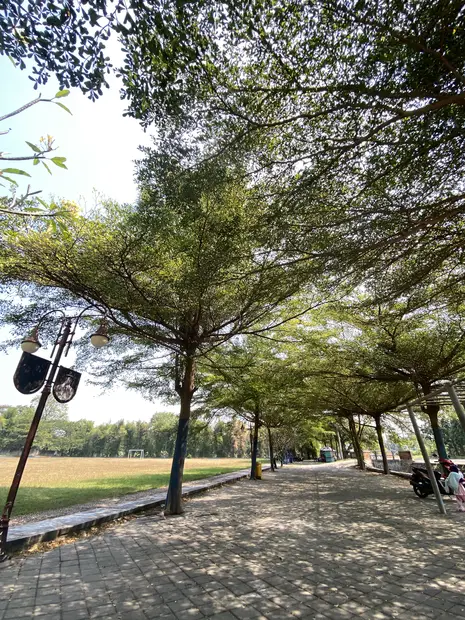 Koleksi tanaman pilihan Semanggi Landscape
