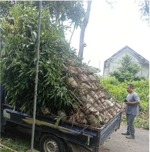 Pengiriman 350 Pucuk Merah untuk Pemerintah Kota Cirebon