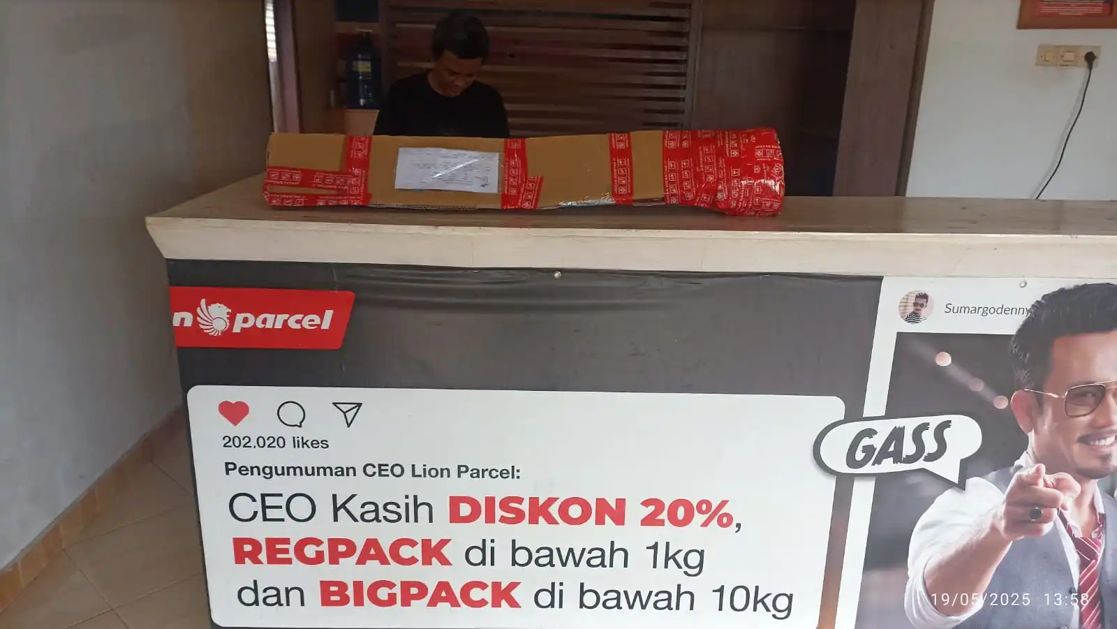 pengiriman bibit moringa ke timika papua 