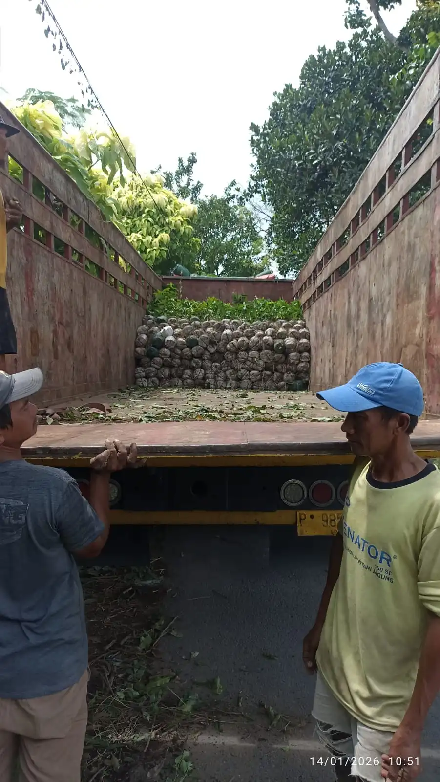 pengiriman 1000 glodok tiang tinggi 2m 